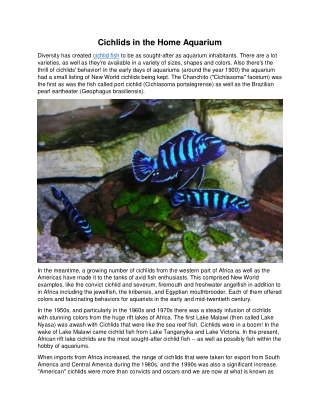 Cichlids in the Home Aquarium