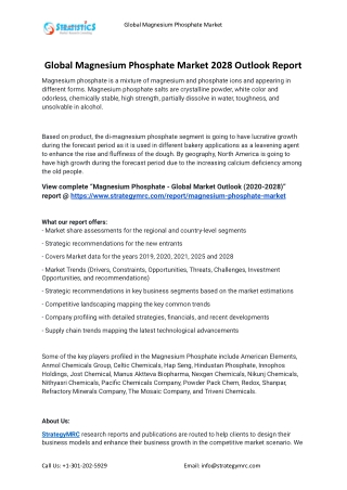 2021 Magnesium Phosphate Industry Global Analysis Report