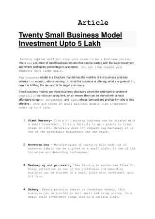 Article 20 business models Investment upto 5 lakh