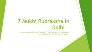 7 Mukhi Rudraksha in Delhi