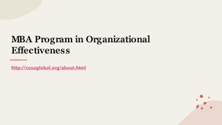 MBA Program in Organizational Effectiveness