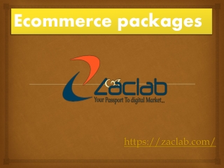 Ecommerce Packages