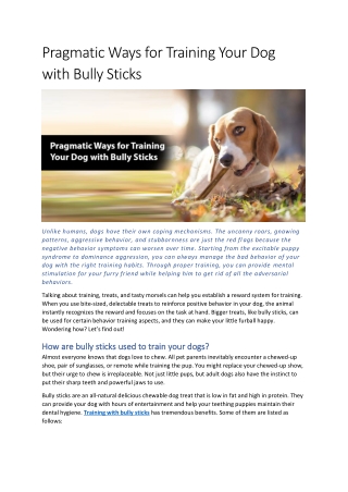 Pragmatic Ways for Training Your Dog with Bully Sticks