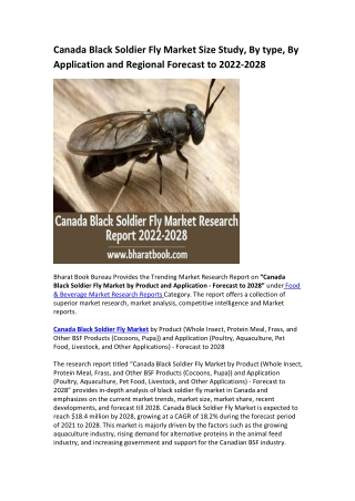 Canada Black Soldier Fly Market Research Report 2022-2028