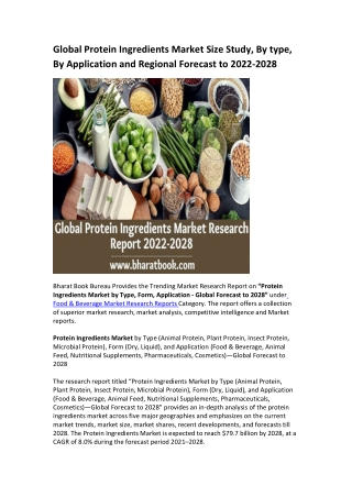 Global Protein Ingredients Market Research Report 2022-2028