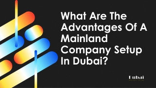 What Are The Advantages Of A Mainland Company Setup In Dubai