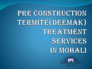 Pre Construction Termite(deemak)Treatment Services in Mohali
