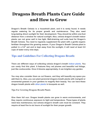 Dragons Breath Plants Care Guide and How to Grow