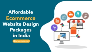 Affordable eCommerce Website Design Packages in India