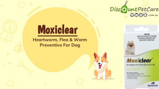 Moxiclear Heartworm, Flea & Worm Preventive For Dogs | DiscountPetCare