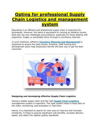 Opting for professional Supply Chain Logistics and management system