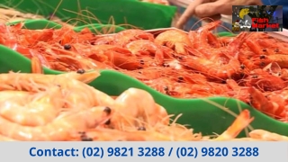 Pick the Perfect Prawns supplier