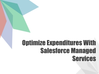 Optimize Expenditures With Salesforce Managed Services