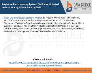 Single-use Bioprocessing Systems Market Anticipated to Grow at a Significant Pace by 2028
