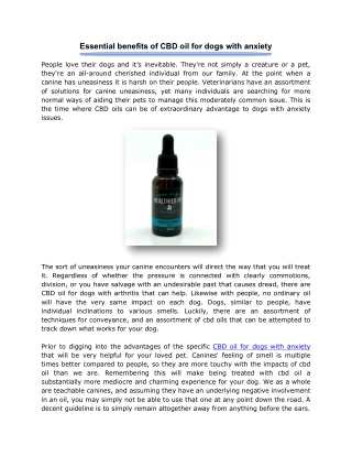 Essential benefits of CBD oil for dogs with anxiety