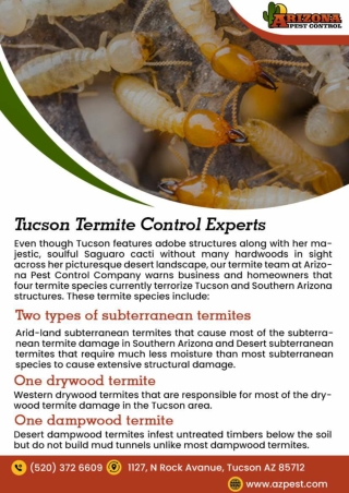 Termite Control Tucson Bee Removal Tucson