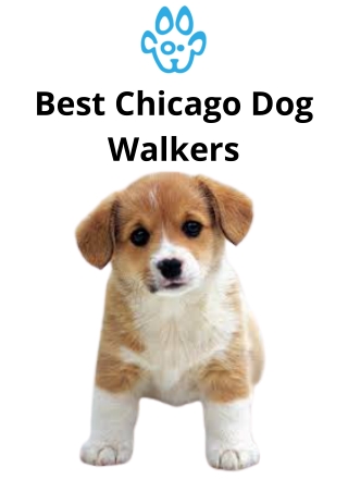 Best Chicago Dog Walkers