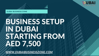Business Setup In Dubai - Dubai Business Zone