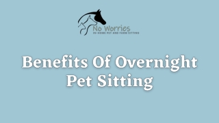 Benefits of Overnight Pet Sitting