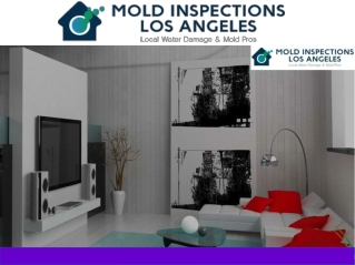 Professional Mold Testing La