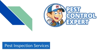 Pest Inspection Services - Pest Control Expert