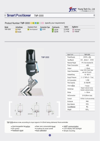 TMP-3000 Smart Valve Positioner Supplier |  PPT | See Automation & Engineers