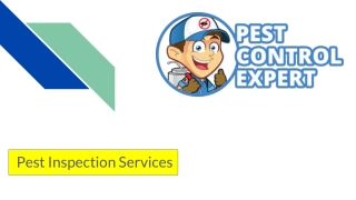 Affordable Pest Control Services - Pest Control Expert