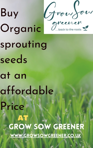 Buy best organic sprouting seeds at affordable prices.