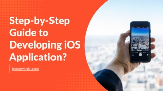Step-by-Step Guide to Developing iOS Application
