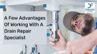A Few Advantages Of Working With A Drain Repair Specialist