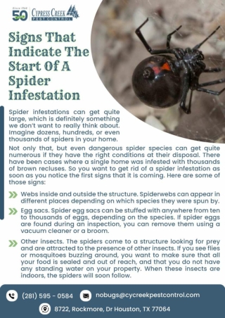 commercial Pest Control Houston | Termite Inspection Houston