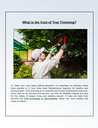 The Cost of Tree Trimming and the Factors That Influence It