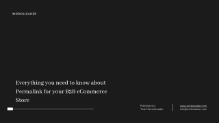 Everything you need to know about Permalink for your B2B eCommerce Store