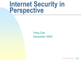 Internet Security in Perspective