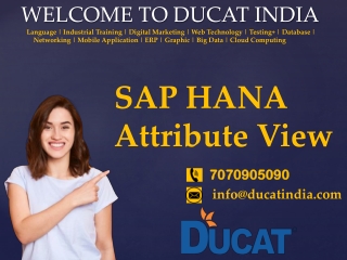 SAP HANA Attribute View