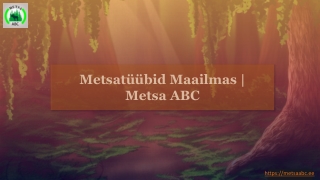 Metsatüübid Maailmas | Metsa ABC