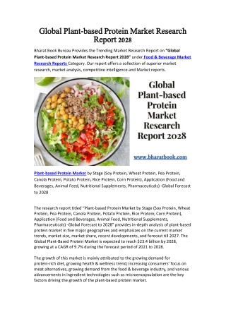 Global Plant-based Protein Market Research Report 2028