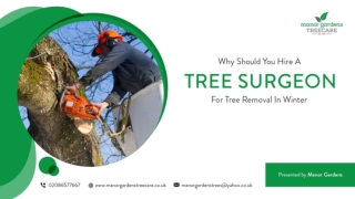 Why Should You Hire A Tree Surgeon For Tree Removal In Winter