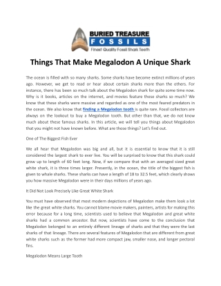 Things That Make Megalodon A Unique Shark