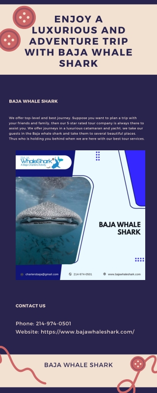 Enjoy a luxurious and adventure trip with Baja Whale Shark