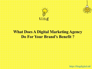 What Does A Digital Marketing Agency Do For Your Brand’s Benefit