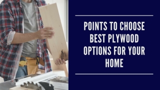 Choose Best Plywood Options For Your Home