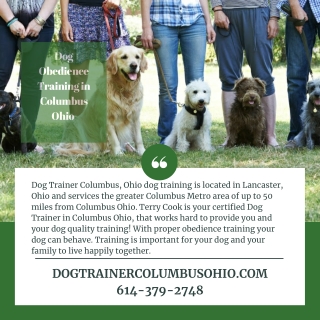 Dog Obedience Training in Columbus Ohio