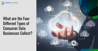 What are the four different types of consumer data businesses collect