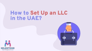 How to Set Up an LLC in the UAE?