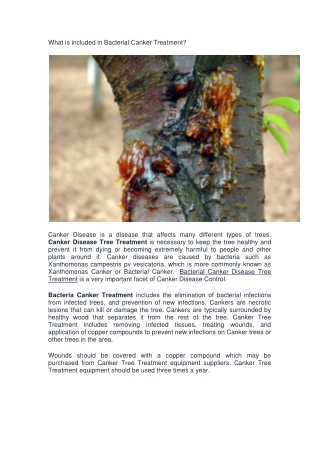 What is included in Bacterial Canker Treatment-converted