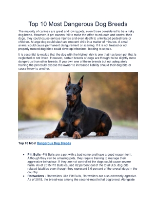 Top 10 Most Dangerous Dog Breeds