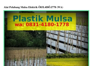 Alat Pelubang Mulsa Elektrik Ö831•Ꮞ18Ö•1778{WA}