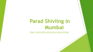 Parad Shivling in Mumbai