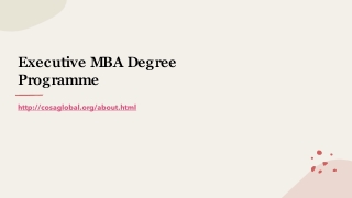 Executive MBA Degree Programme